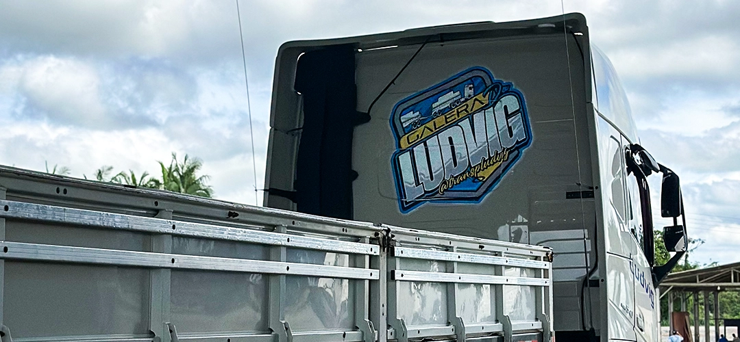 Programas da Ludvig Transportes: Valorizando Pessoas e Segurança